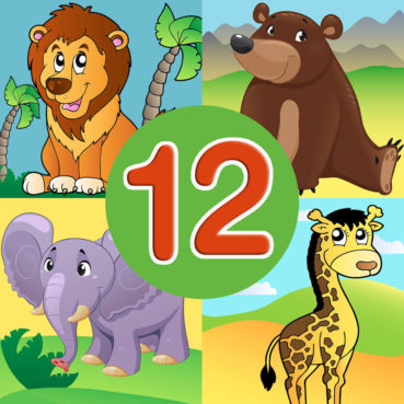 12 Animal quiz 12