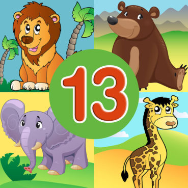 13 Animal quiz 13