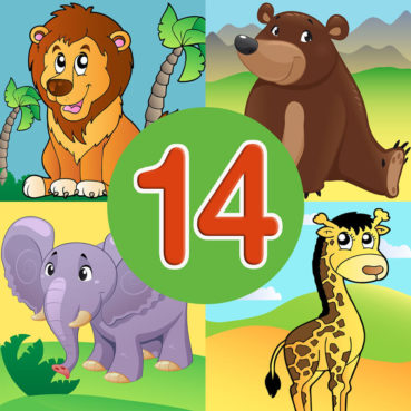 14 Animal Quiz 14