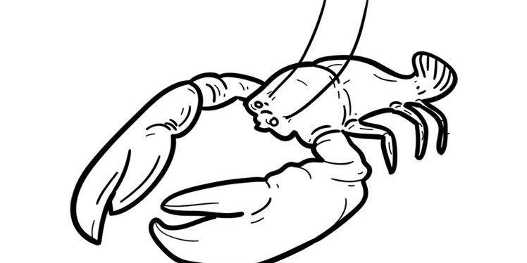 Lobster Coloring Worksheet Lobster Coloring Worksheet