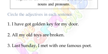 Adjectives Worksheet 06