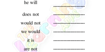 Contraction Worksheet 04