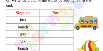 Plurals Worksheets 06