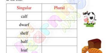 Plurals Worksheets 07