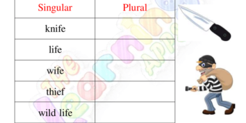 Plurals Worksheets 08