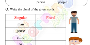 Plurals Worksheets 10