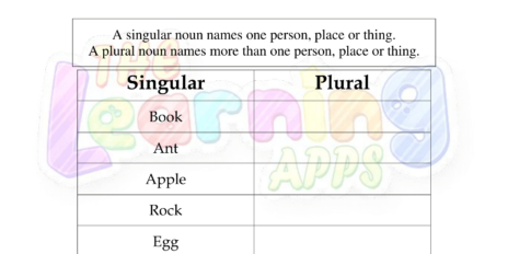 Singular Plural 3