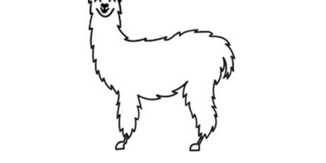 alpaca 07