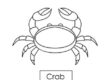 crab 01