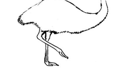 emu 02