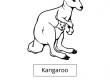 Kangaroo