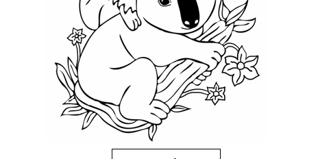 Koala