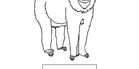 Mandrill