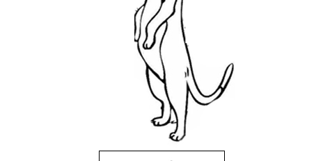Meerkat