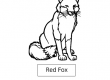 Red-Fox