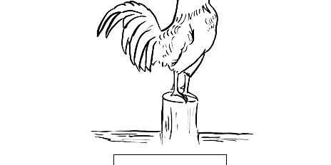 Rooster