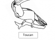 Toucan