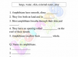 Amphibians-Worksheets-Grade-3-Activity-1