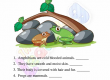 Amphibians-Worksheets-Grade-3-Activity-5