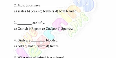 Birds-Worksheets-Grade-3-Activity-3