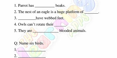 Birds-Worksheets-Grade-3-Activity-4
