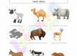 Herbivores-Worksheets-Grade-3-Activity-2