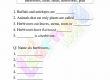 Herbivores-Worksheets-Grade-3-Activity-4