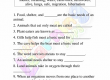 Needs-of-Animals-Worksheets-Grade-3-Activity-2
