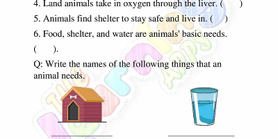 Needs-of-Animals-Worksheets-Grade-3-Activity-3 Needs-of-Animals-Worksheets-Grade-3-Activity-3