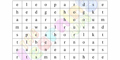 Omnivores-Worksheets-Grade-3-Activity-5