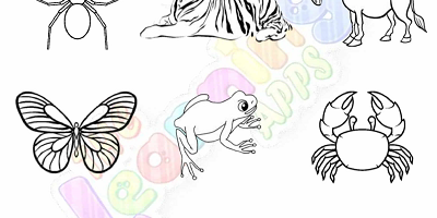 Vertebrates-and-Invertebrates-Worksheets-Grade-3-Activity-5 Vertebrates-and-Invertebrates-Worksheets-Grade-3-Activity-5