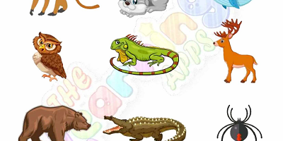 Warm-and-Cold-Blooded-Animals-Worksheets-Grade-3-Activity-5