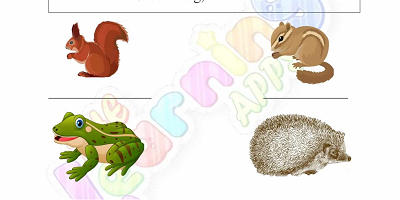 Hibernation-Worksheets-for-Grade-2-Activity-2