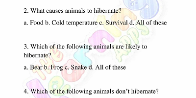 Hibernation-Worksheets-for-Grade-2-Activity-3