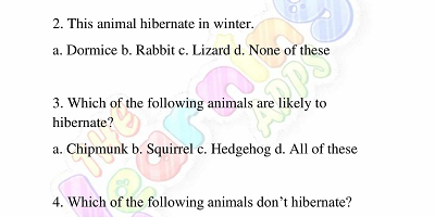 Hibernation-Worksheets-for-Grade-2-Activity-4