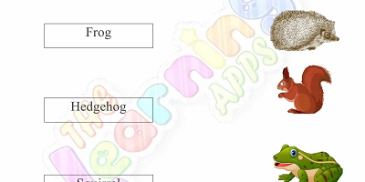 Hibernation-Worksheets-for-Grade-2-Activity-5 Hibernation-Worksheets-for-Grade-2-Activity-5