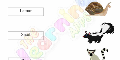 Hibernation-Worksheets-for-Grade-2-Activity-6 Hibernation-Worksheets-for-Grade-2-Activity-6