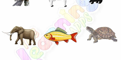 Hibernation-Worksheets-for-Grade-2-Activity-7 Hibernation-Worksheets-for-Grade-2-Activity-7