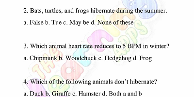 Hibernation-Worksheets-for-Grade-3-Activity-4