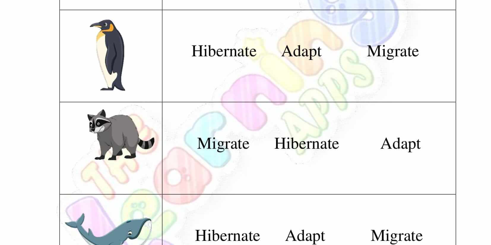 Hibernation-Worksheets-for-Grade-3-Activity-5