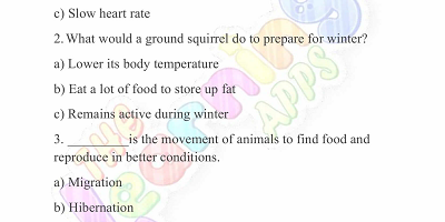 Hibernation-Worksheets-for-Grade-3-Activity-7