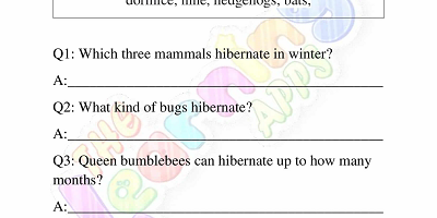 Hibernation-Worksheets-for-Grade-3-Activity-9