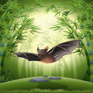 Bat-Animal-Quiz