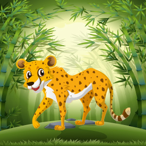 Cheetah-Animal-Quiz