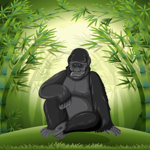 Gorilla-Animal-Quiz