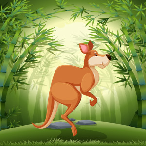 Kangroo-Animal-Quiz
