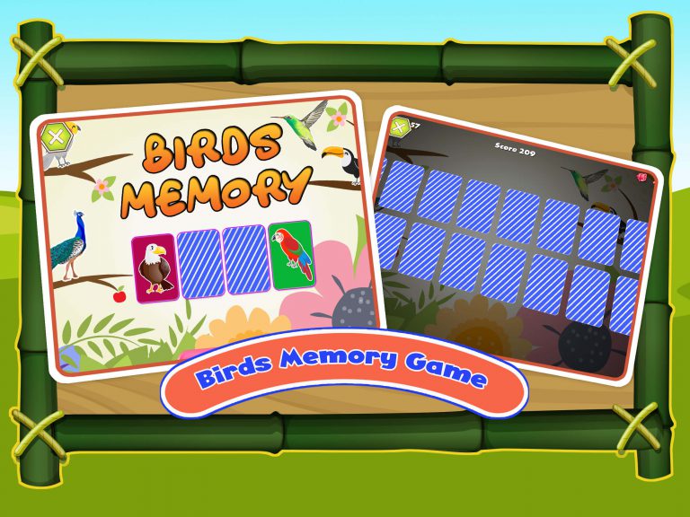 Birds Park - Bird Facts for Kids - The Learning Apps