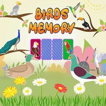 Bird Matching Game