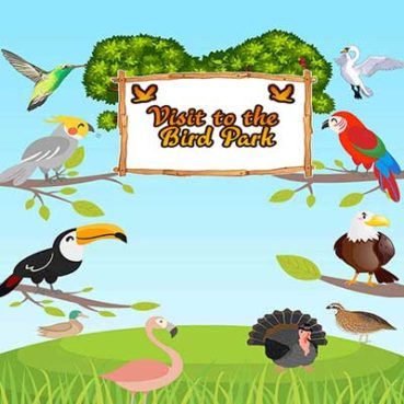 online bird game for kids Bird Games For Kids Free