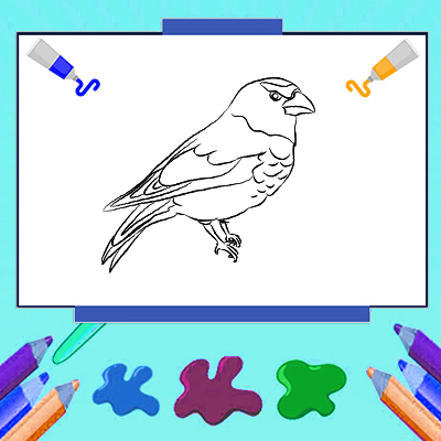 Online Bird Coloring Game For Kids Bird Pictures